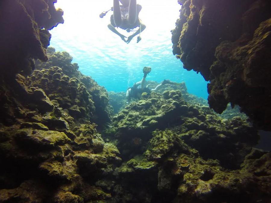 Marines Sciences club's trip to the Cayman Islands