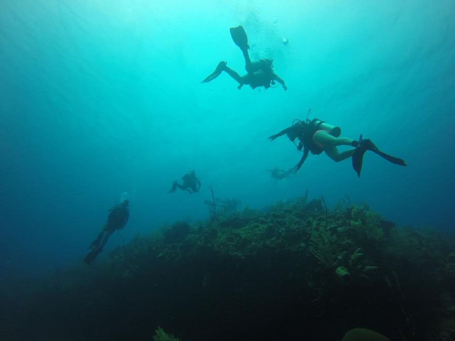 Marines Sciences club's trip to the Cayman Islands 