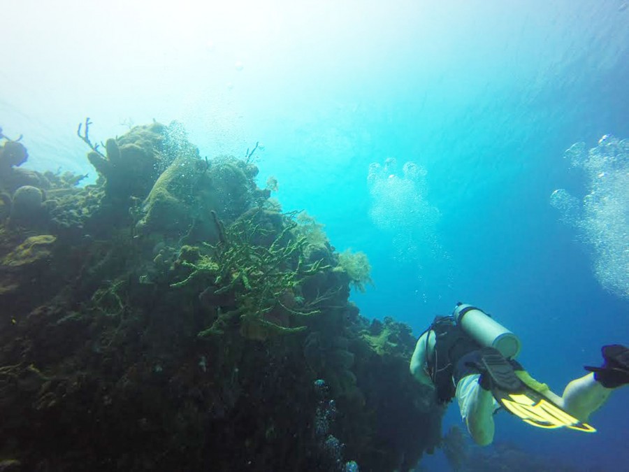 Marines Sciences club's trip to the Cayman Islands