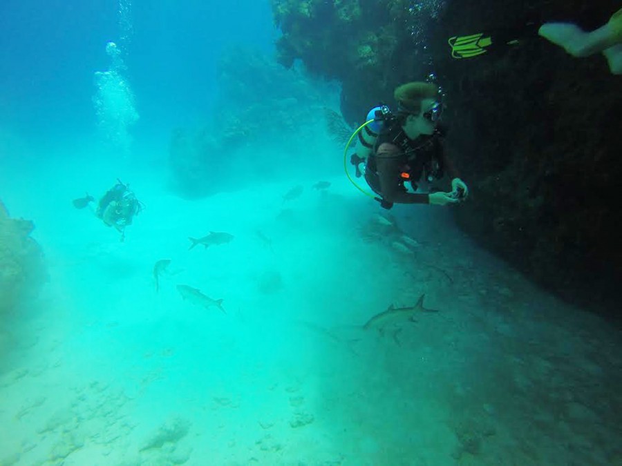 Marines Sciences club's trip to the Cayman Islands