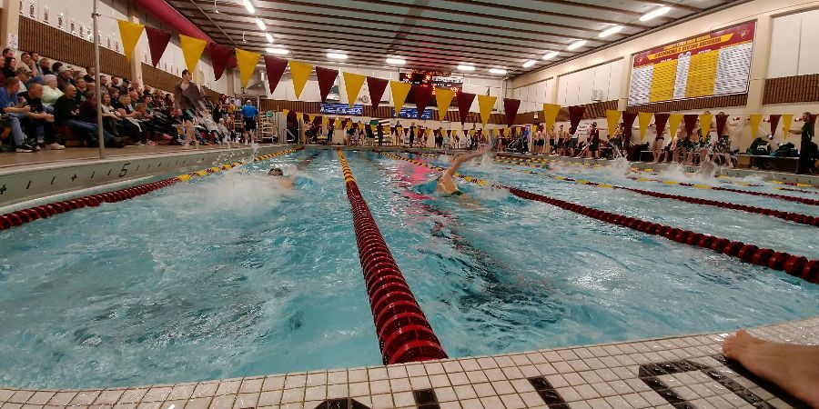 Boys swimmers compete at Forest Lake Junior High School. 