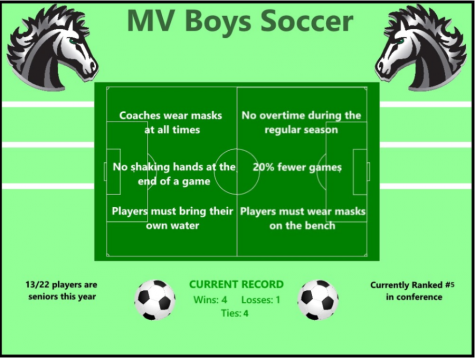 How Sports Teams Are Handling COVID-19 Restrictions