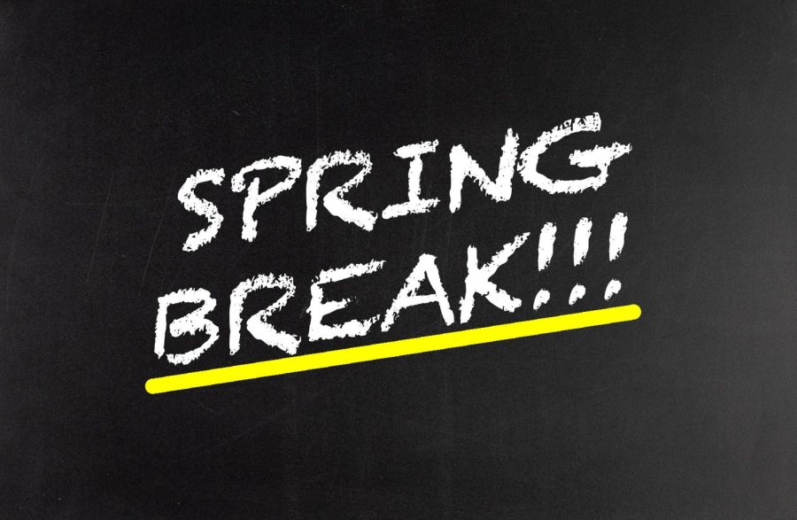 Top 5 Things Students are Doing During Spring Break