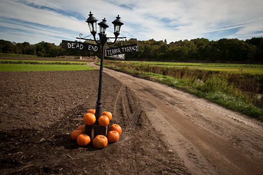 Dead End Hayride