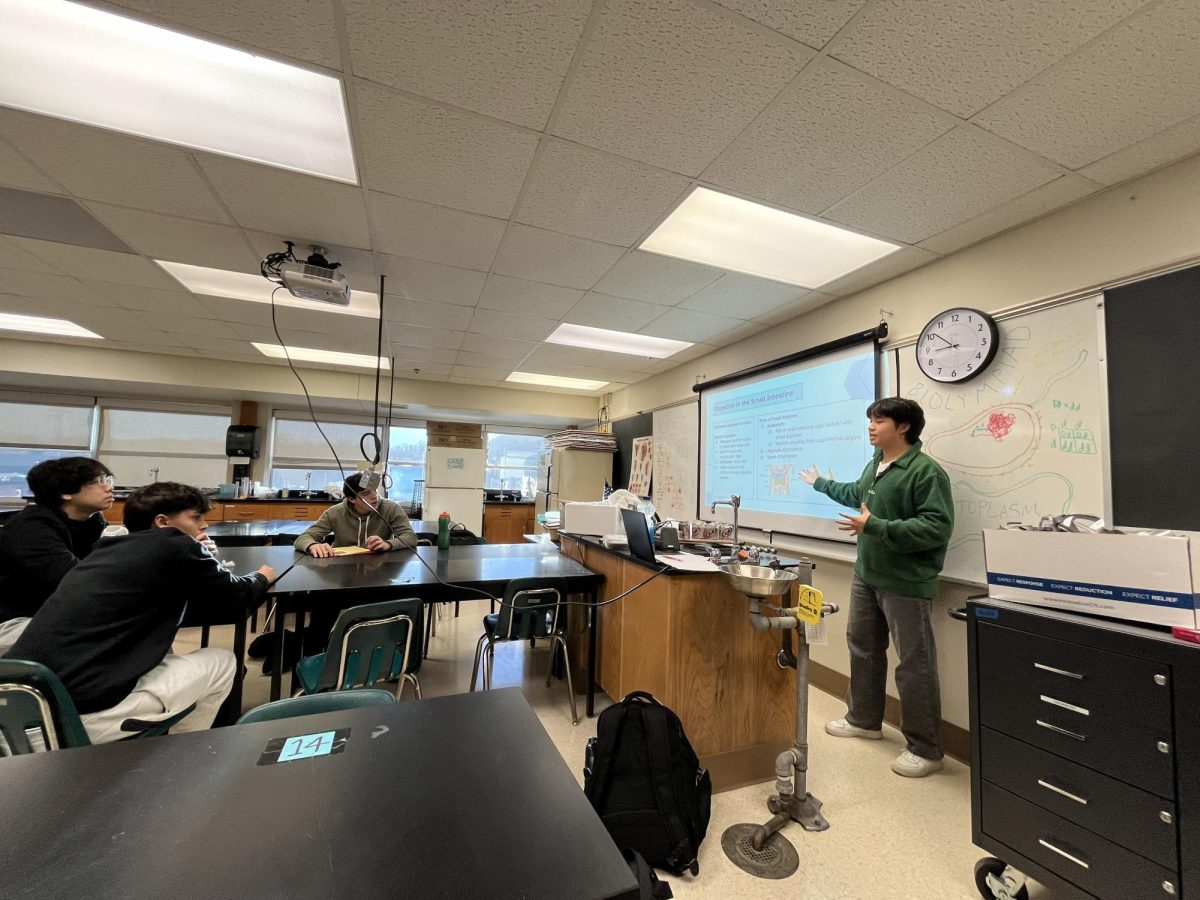 Senior USABO club captain Josiah Chan helping prepare members with biology based facts.